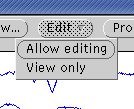 Allow editing