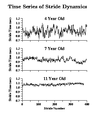 [Plots of stride dynamics]