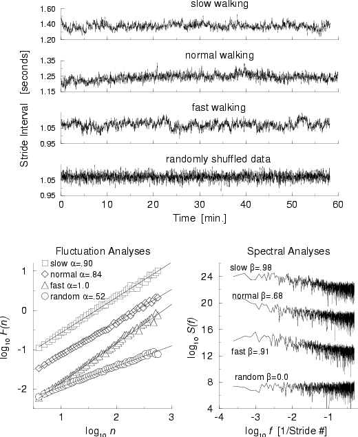 waveforms showing walking at different paces